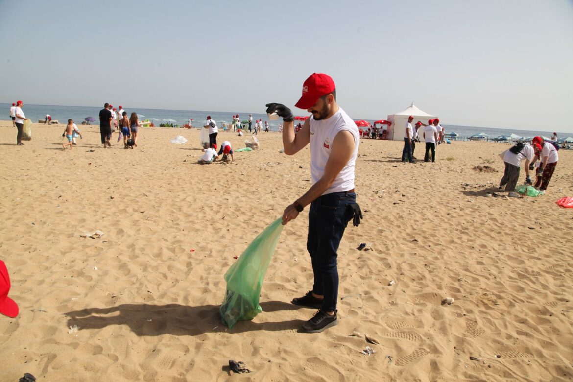 Beach Clean Events UK: How to Run and Join One That Lasts - ilustracja artykulu